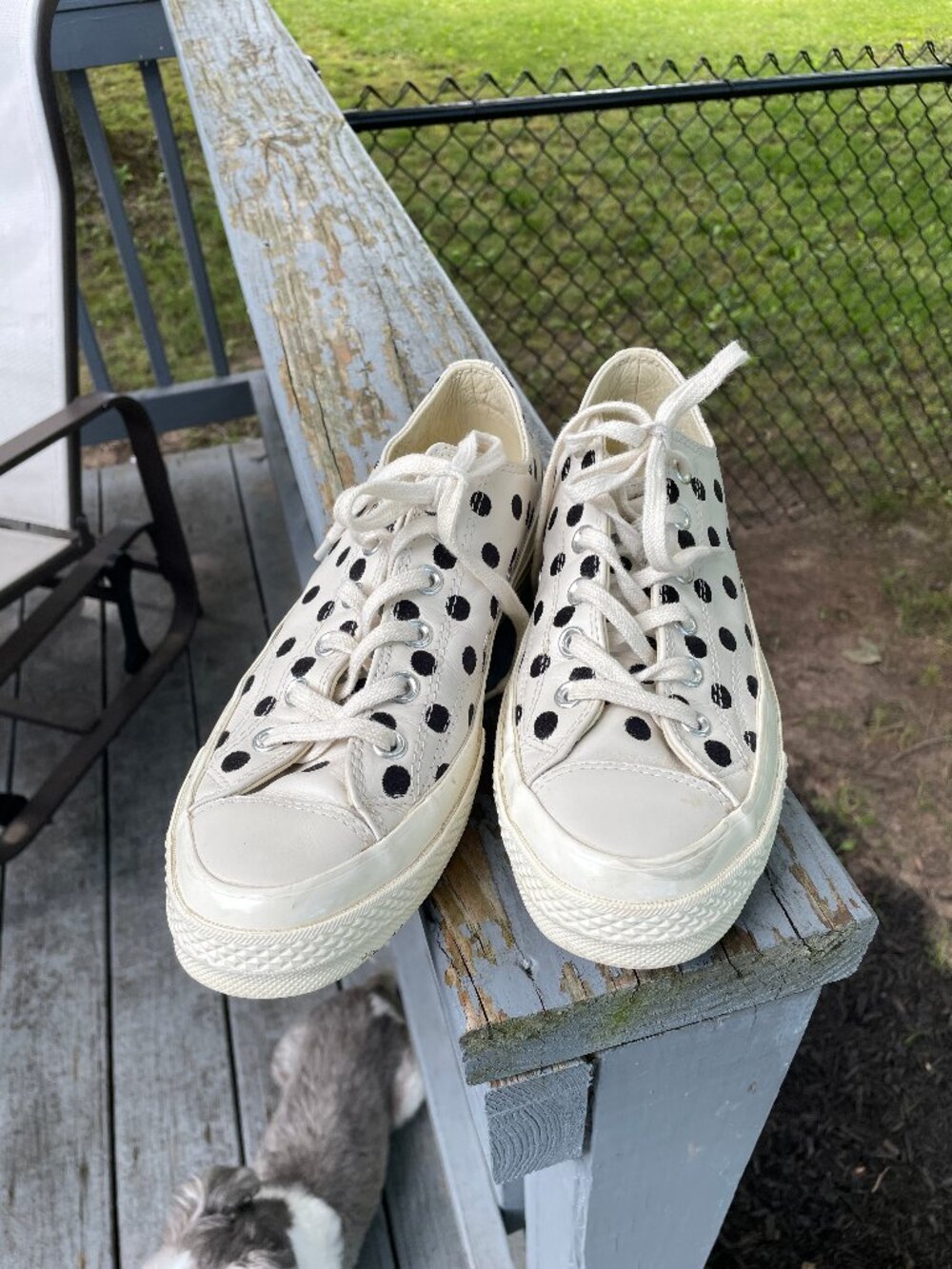 Polka Dot Converse Sneakers Women 9 Men 7 Men
